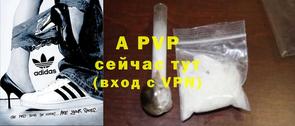 прущие грибы Пестово