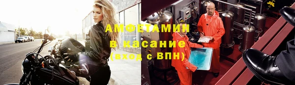 прущие грибы Переславль-Залесский