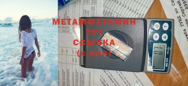 прущие грибы Пестово