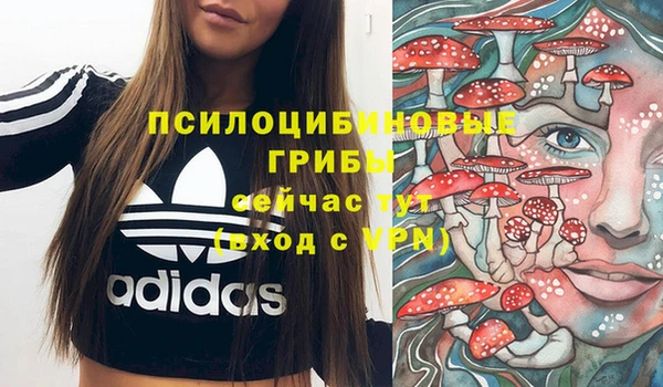 прущие грибы Переславль-Залесский