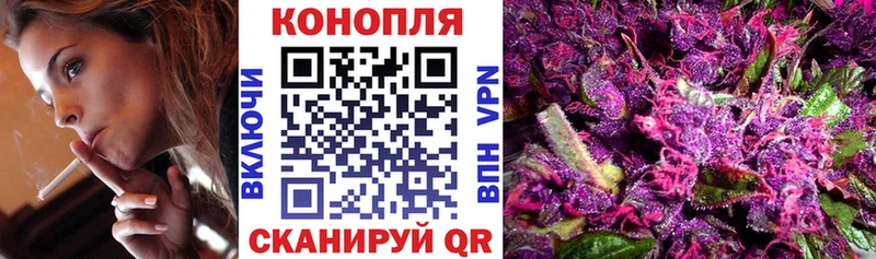 Шишки марихуана гибрид Пугачёв
