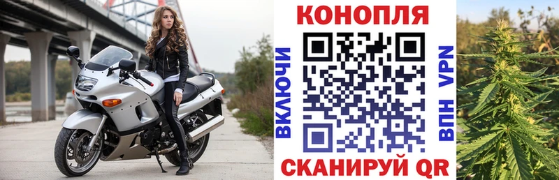 мега tor  Пугачёв  Бошки марихуана гибрид 